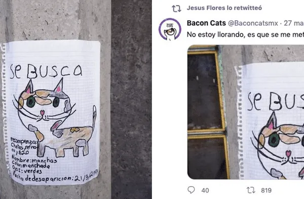 Twitter viral: Niño ofrece como recompensa unos cheetos y gaseosa a quien halle a su gato extraviado fotos