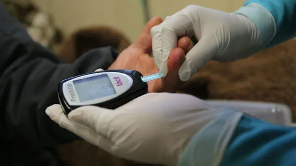 Diabetes, la landemia prevenible que afecta la vida de millones de personas cada día