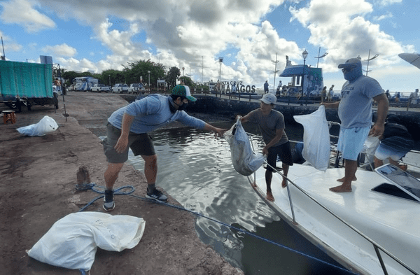 Maltrato animal: Extraen de los fondos marinos de Galápagos más de dos mil toneladas de basura fotos