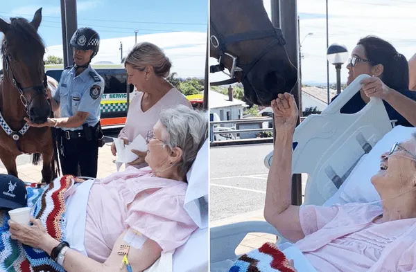 Facebook viral: Anciana solicitó acariciar un caballo por última vez antes de morir: Ahora duerme feliz fotos