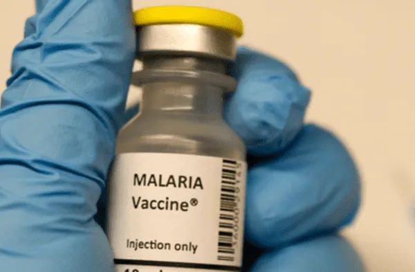Malaria: Vacuna desarrollada contra esta enfermedad tuvo una eficacia muy alta asegura estudio de la Universidad de Oxford