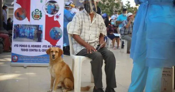 Piura: adulto mayor de 85 años acudió a vacunarse contra el COVID-19 acompañado de su perrito