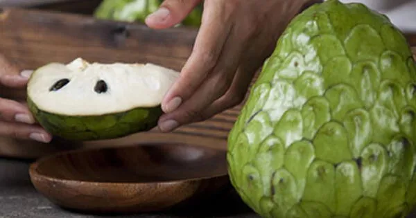 Chirimoya: conoce las bondades nutritivas y medicinales de este superalimento peruano