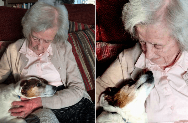 Facebook viral: Supe que era el indicado para mí reveló anciana de 96 años que adoptó a un perro adulto de 17 años fotos