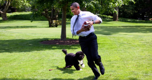 Obama anuncia la muerte de Bo, el perro de la familia