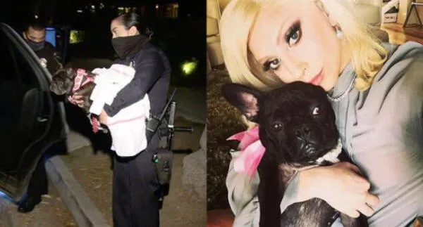 Lady Gaga víctima de robo: Policía de Los Ángeles atrapó a cinco implicados en el secuestro de sus perros fotos