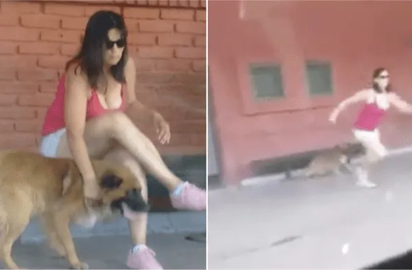 Mujer acudió al tren con su perro, lo llenó de cariños y corrió hasta abandonarlo wapa.pe