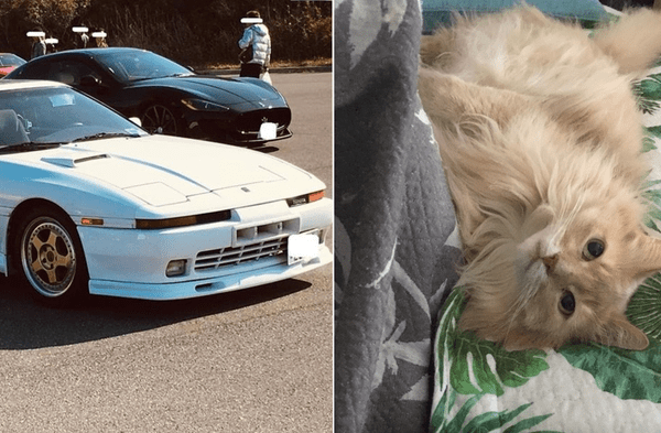 Instagram viral: Hombre vendió su auto deportivo para tratar a su gato con una peritonitis infecciosa lo cual podía matarlo fotos