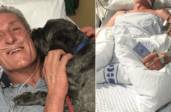 Instagram viral: Anciano de 65 años internado en UCI logró recobrar el conocimiento gracias a los ladridos de su perro fotos