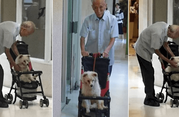Facebook viral: Anciano pasea por el centro comercial acompañado de su cachorro que viaja en un coche de bebé fotos