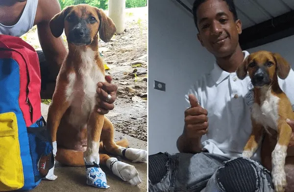 Facebook viral: Joven venezolano regresó a su país junto a su perro luego de caminar por 60 días: El amor es una fuerza motivadora fotos