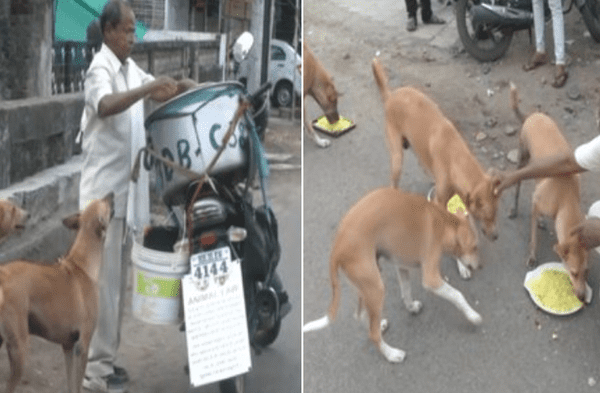 Facebook viral: Son como mis hijos explica anciano que recorre las calles con una olla de 40 kilos para alimentar a 190 perros sin hogar fotos