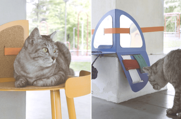 Youtube viral: Estudiante planifica la elaboración de accesorios para que los gatos callejeros puedan jugar y descansar fotos