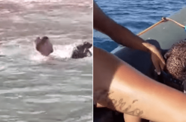 Facebook viral: Dos jóvenes saltaron al mar para rescatar a un perro que luchaba para no ser arrastrado: Al final tenía dueña video