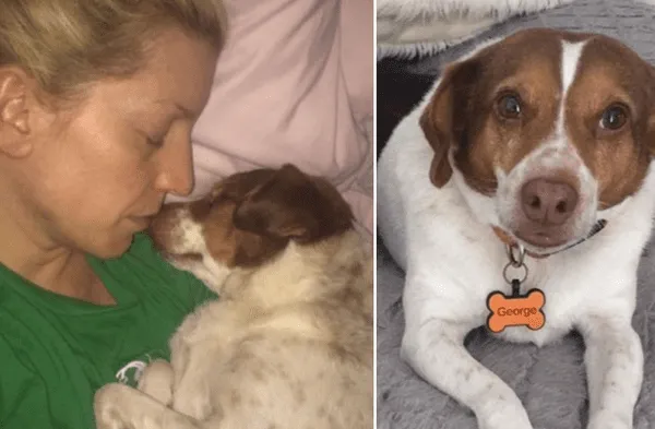 Facebook viral: Perro que fue salvado de morir sacrificado ahora duerme cara a cara abrazado a su dueña por temor a ser abandonado fotos