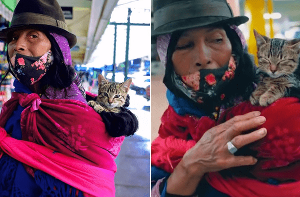 Instagram viral: Anciana recorre las calles de Ecuador para intentar vender sus golosinas acompañada de su gato recién nacido video