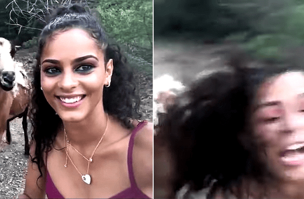 Youtube viral: Mujer se acercó a una vaca para tomarse una fotografía y terminó recibiendo un cabezazo violento del animal video