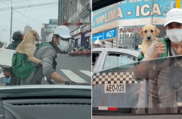 Youtube viral: Graban a joven trabajando en las calles de La Victoria limpiando vidrios mientras carga a su perro en la espalda video