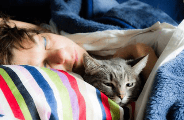 Coronavirus: Los gatos pueden contraer la covid-19 por dormir en la cama de su dueño fotos