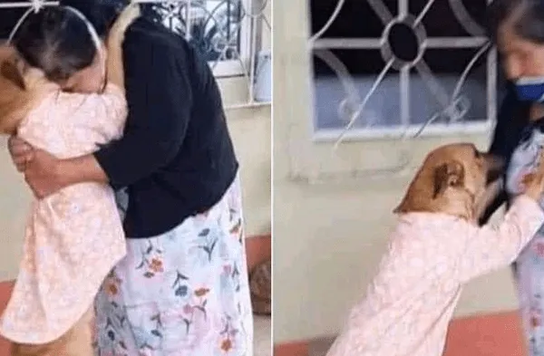 Facebook viral: Anciana y su perra extraviada protagonizaron emotivo abrazo luego de reencontrase tras varias semanas fotos