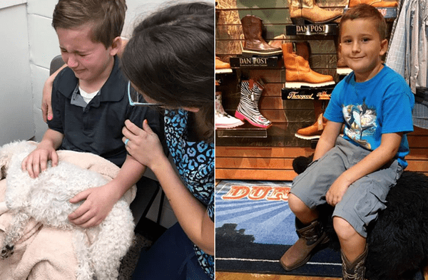 Instagram viral: Es triste cuando van al cielo relató entre lágrimas niño que abrazó a su perrita antes de ser dormida fotos