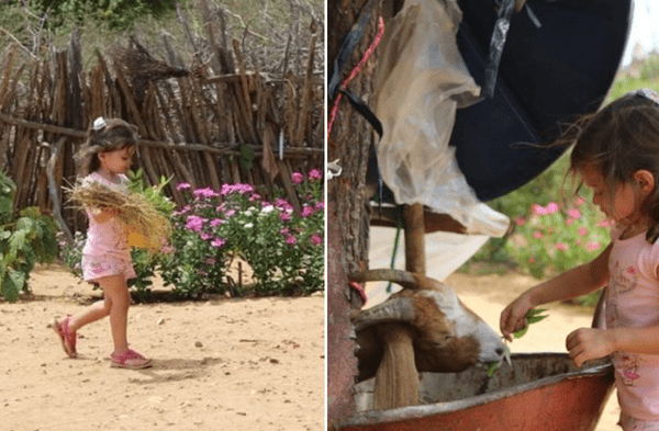 Facebook viral: Incluso la arrulló para que se durmiera contó madre de una niña de 4 años que alimenta a una cabra con discapacidad fotos