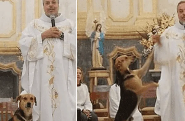 Instagram viral: Captan a sacerdote brindado una misa acompañado de un perro para incentivar la adopción de los callejeros fotos