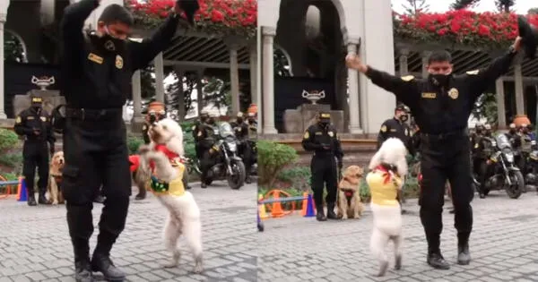 Machín cautiva a miles de usuarios al bailar huaylas por Fiestas Patrias Bicentenario