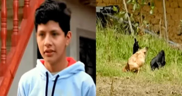 Hijo de Pedro Castillo expresa su amor por los animales