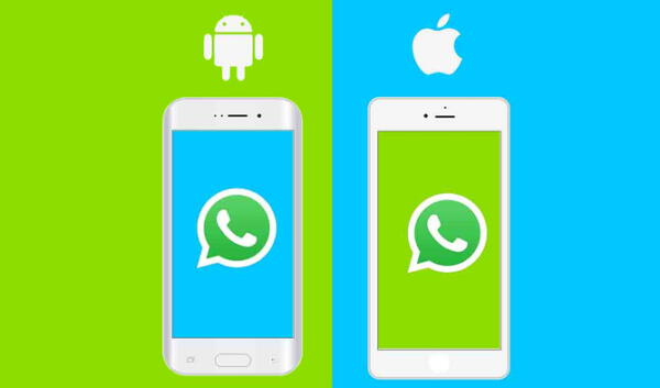 Conoce qué equipos de Android y iOS que no podrán usar WhatsApp tras las nuevas actualizaciones. Foto: Tu Experto