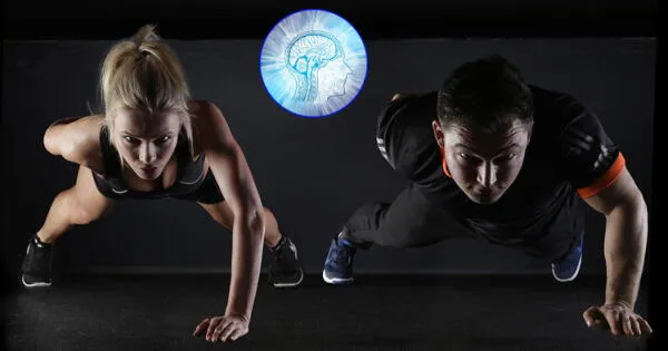 El ejercicio físico puede ayudarnos a crear nuevas neuronas y a mejorar la memoria