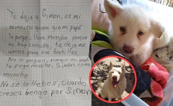 Facebook viral: Niño abandonó a su perro en un albergue porque su padre lo maltrata y realizó una promesa de volver cuando crezca fotos