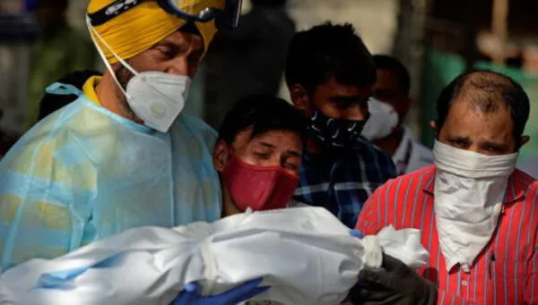 Coronavirus: Niño de 12 años falleció por el virus Nipah considerado en la India como una enfermedad más peligrosa que el Covid-19 fotos
