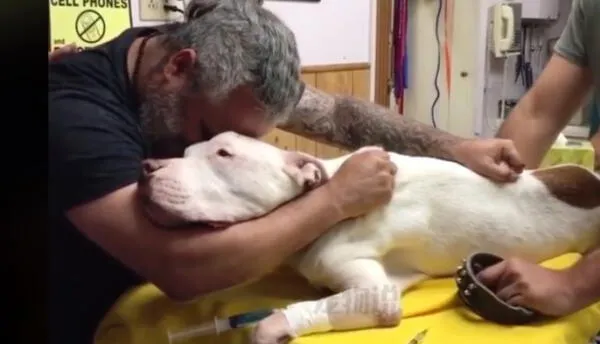 Hombre abraza entre lágrimas a su perro de 14 años y segundos después fallece: wapa.pe