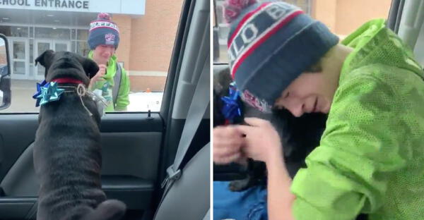 Niño rompió en llanto y abrazó al reencontrarse con su cachorro extraviado: wapa.pe