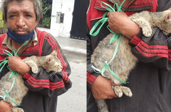 Facebook viral: Vecinos de SJL piden ayuda para un indigente que protege a un gato callejero mientras le busca un hogar fotos