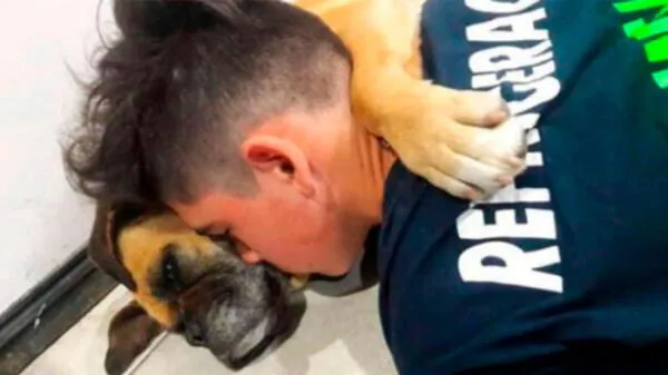 Facebook viral: Cachorra abraza a su dueño antes de morir luego de sufrir un ataque por los fuegos artificiales video