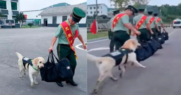 YouTube viral: Perro policía no quiere decirle adiós a su entrenador retirado y le muerde el bolso para que no lo deje video