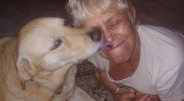 Suzan Marciano caiman salva a perro mujer 74 años