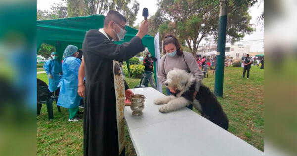 Surco: Cura bendice a perros pecadores e insta a la población a acudir a campañas antirrábicas con sus mascotas
