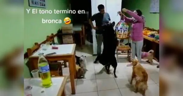 TikTok viral: Festejan cumpleaños de perrito e invitado se pelea con el agasajado video