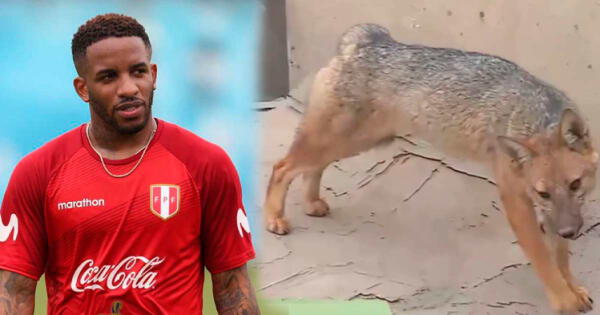 Meme de 'Run Run' en fiesta de Jefferson Farfán ha causado furor en redes sociales