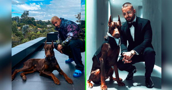 Maluma pide que lo adopten junto a su perro Buda y famosas responden