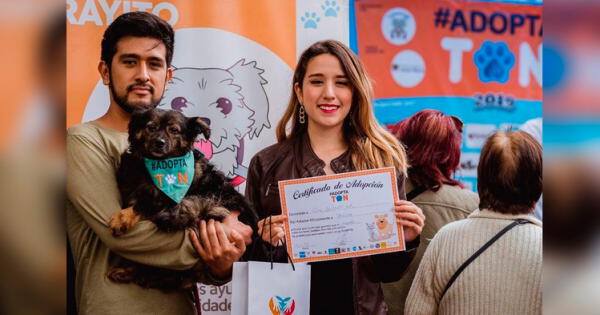 campaña de adopción de perros y gatos por Navidad en Surquillo