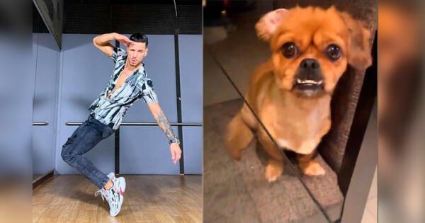 Anthony Aranda, el bailarín de Melissa Paredes muestra tierno video de su amor perruno