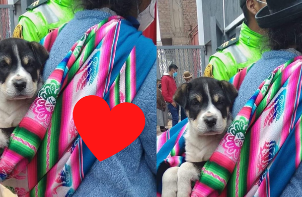 Mujer acude con su perro a cobrar bono Yanapay en Juliaca y se vuelve viral por no abandonar a su mascota