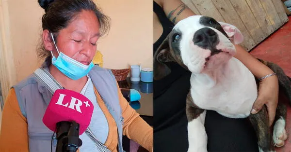 Familia pide justicia para perro Scan que murió golpeado y acuchillado en plena calle