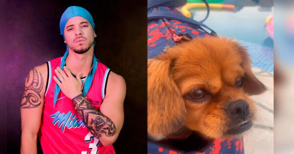 Anthony Aranda en Instagram revela que su perro es su amigo fiel y enternece en redes sociales