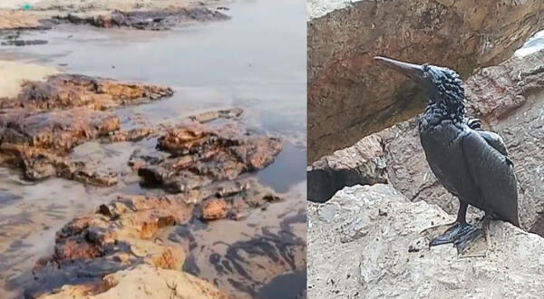 Derrame de petróleo afectó playas en Ventanilla y Ancón