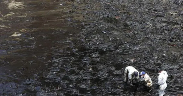 Limpieza del mar tomaría hasta finales de febrero, reveló Repsol.